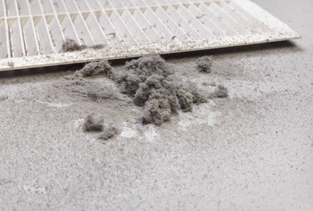 Best Air Duct Cleaning Near Me  in Gages Lake, IL