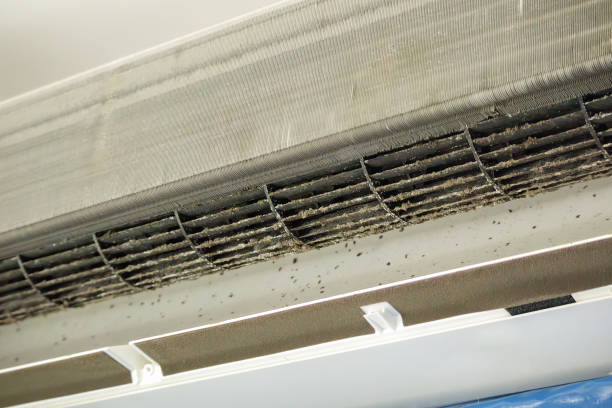 Best Air Duct Cleaning Near Me  in Gages Lake, IL